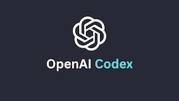 openai-codex.jpg
