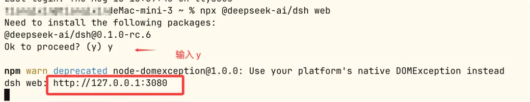 dsh-12.webp