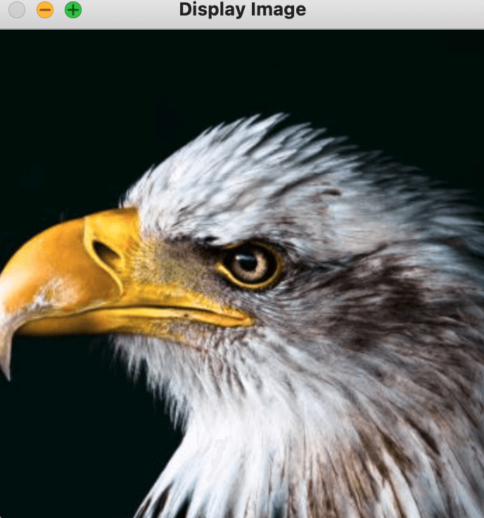 76c2f0e7-f347-433d-9cbd-a6df44ef1408.png